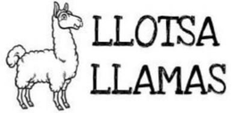 LLOTSA LLAMAS trademark