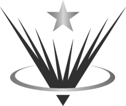 V trademark