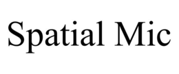SPATIAL MIC trademark