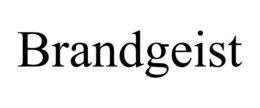 BRANDGEIST trademark