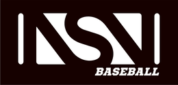 NSN BASEBALL trademark