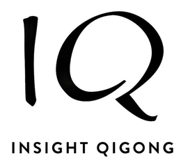 IQ INSIGHT QIGONG trademark