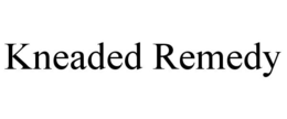 KNEADED REMEDY trademark