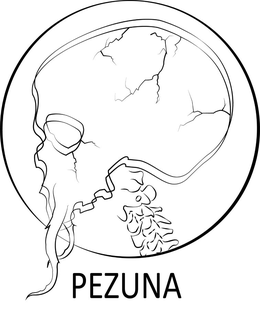 PEZUNA trademark