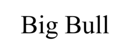 BIG BULL trademark
