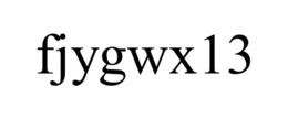 FJYGWX13 trademark