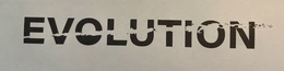 EVOLUTION trademark