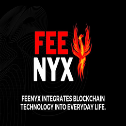 FEE NYX FEENYX INTEGRATES BLOCKCHAIN TECHNOLOGY INTO EVERYDAY LIFE. trademark