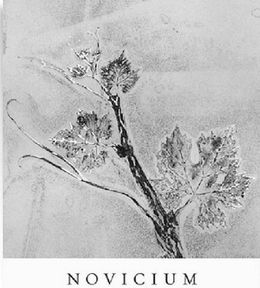 NOVICIUM trademark