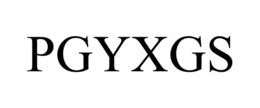 PGYXGS trademark