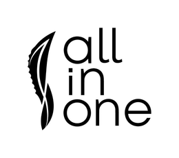 ALL IN ONE trademark