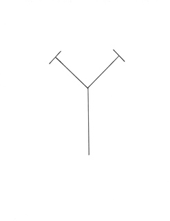 TYT trademark