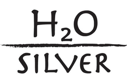 H2O SILVER trademark