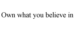 OWN WHAT YOU BELIEVE IN trademark