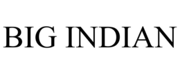 BIG INDIAN trademark