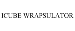 ICUBE WRAPSULATOR trademark