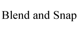 BLEND AND SNAP trademark