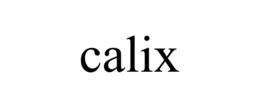 CALIX trademark