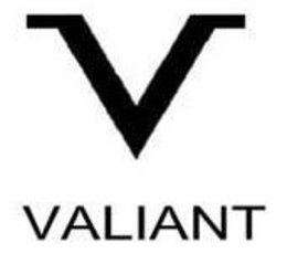 V VALIANT trademark
