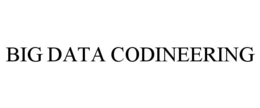 BIG DATA CODINEERING trademark