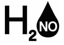 H2NO trademark
