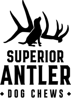 SUPERIOR ANTLER DOG CHEWS trademark
