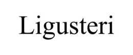 LIGUSTERI trademark