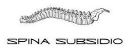 SPINA SUBSIDIO trademark