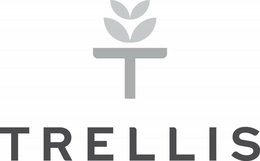T TRELLIS trademark