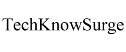TECHKNOWSURGE trademark