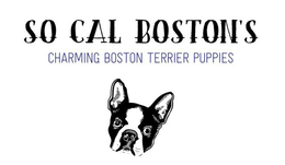 SO CAL BOSTON'S CHARMING BOSTON TERRIER PUPPIES trademark
