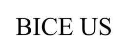 BICE US trademark