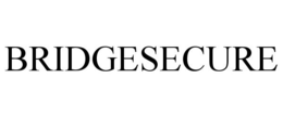 BRIDGESECURE trademark