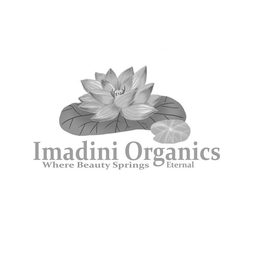 IMADINI ORGANICS WHERE BEAUTY SPRINGS ETERNAL trademark