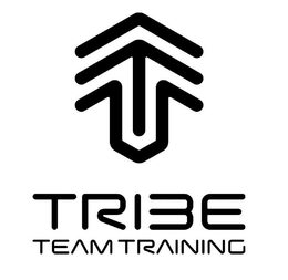 TRIBE TEAM TRAINING trademark