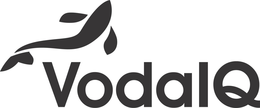VODA IQ trademark