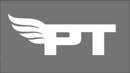 PT trademark