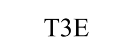 T3E trademark