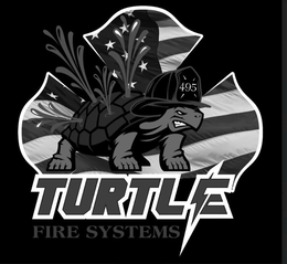 TURTLE FIRE SYSTEMS trademark
