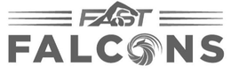 FAST FALCONS trademark