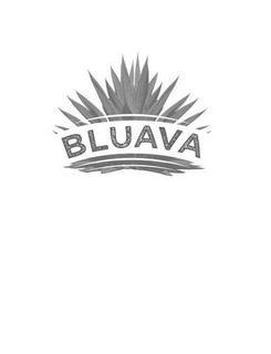 BLUAVA trademark