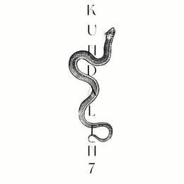 KUNDALINI 7 trademark