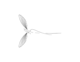 KM trademark