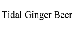 TIDAL GINGER BEER trademark