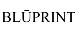 BLUPRINT trademark