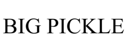 BIG PICKLE trademark
