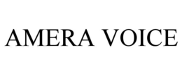 AMERA VOICE trademark