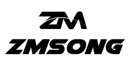 ZM ZMSONG trademark