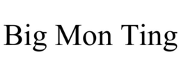 BIG MON TING trademark