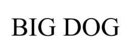 BIG DOG trademark